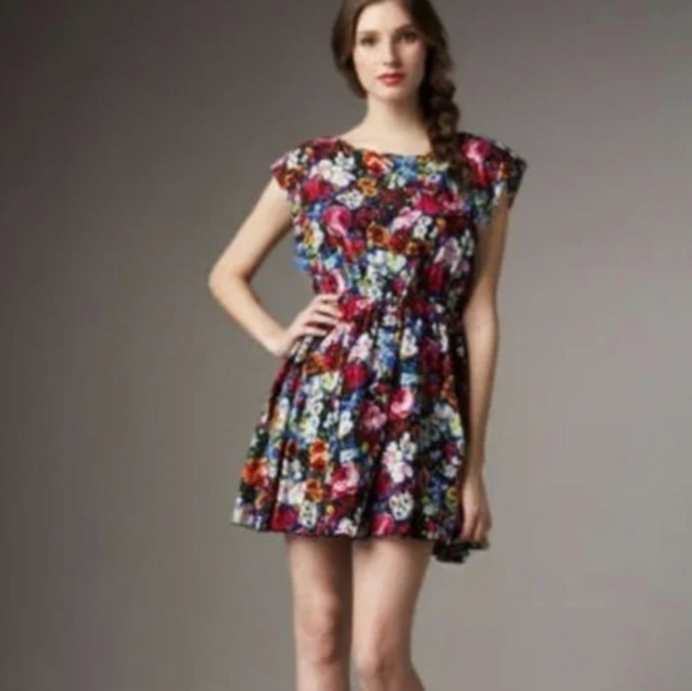 Alice + Olivia Matilda Silk Bouquet Floral Watercolor Print Mini Dress Size S